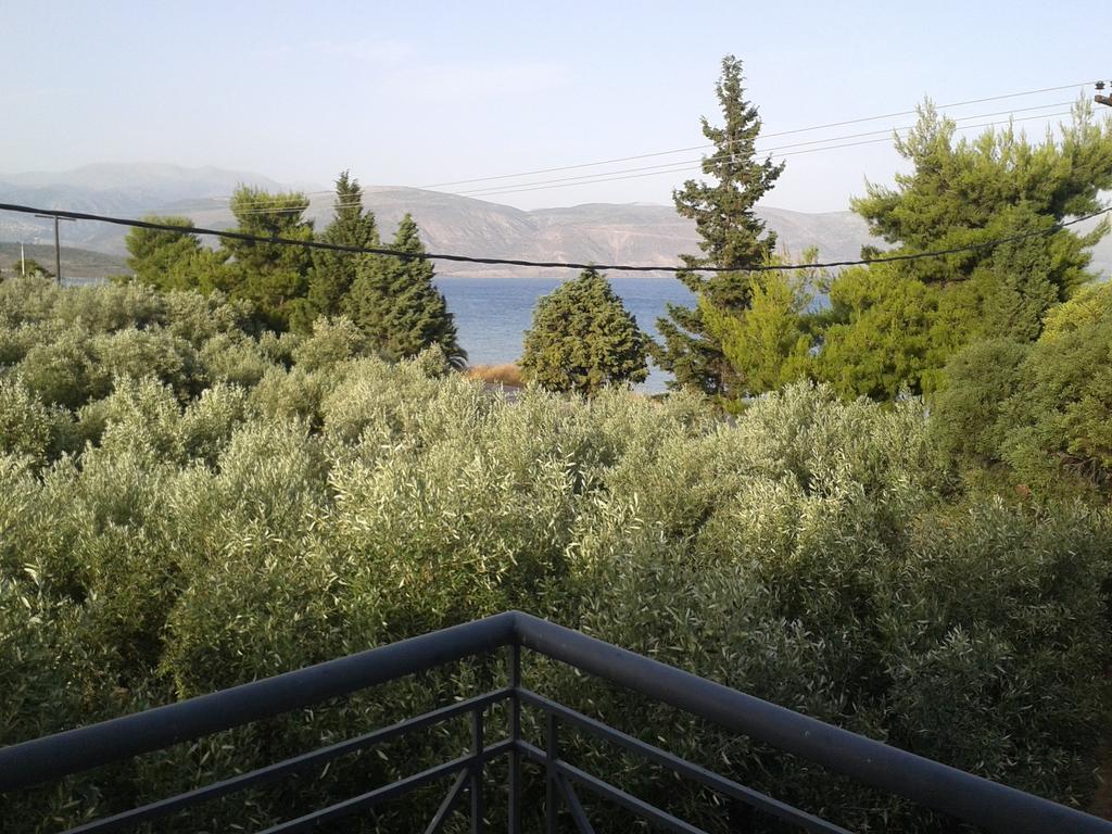 Elea Guesthouse Galaxídhion Rom bilde